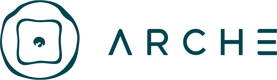 Logo Arche 3D