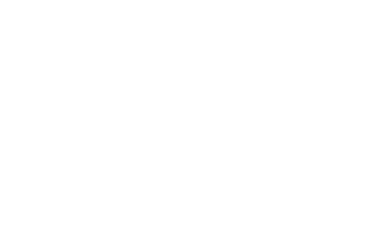 logo wasp hub mantova white
